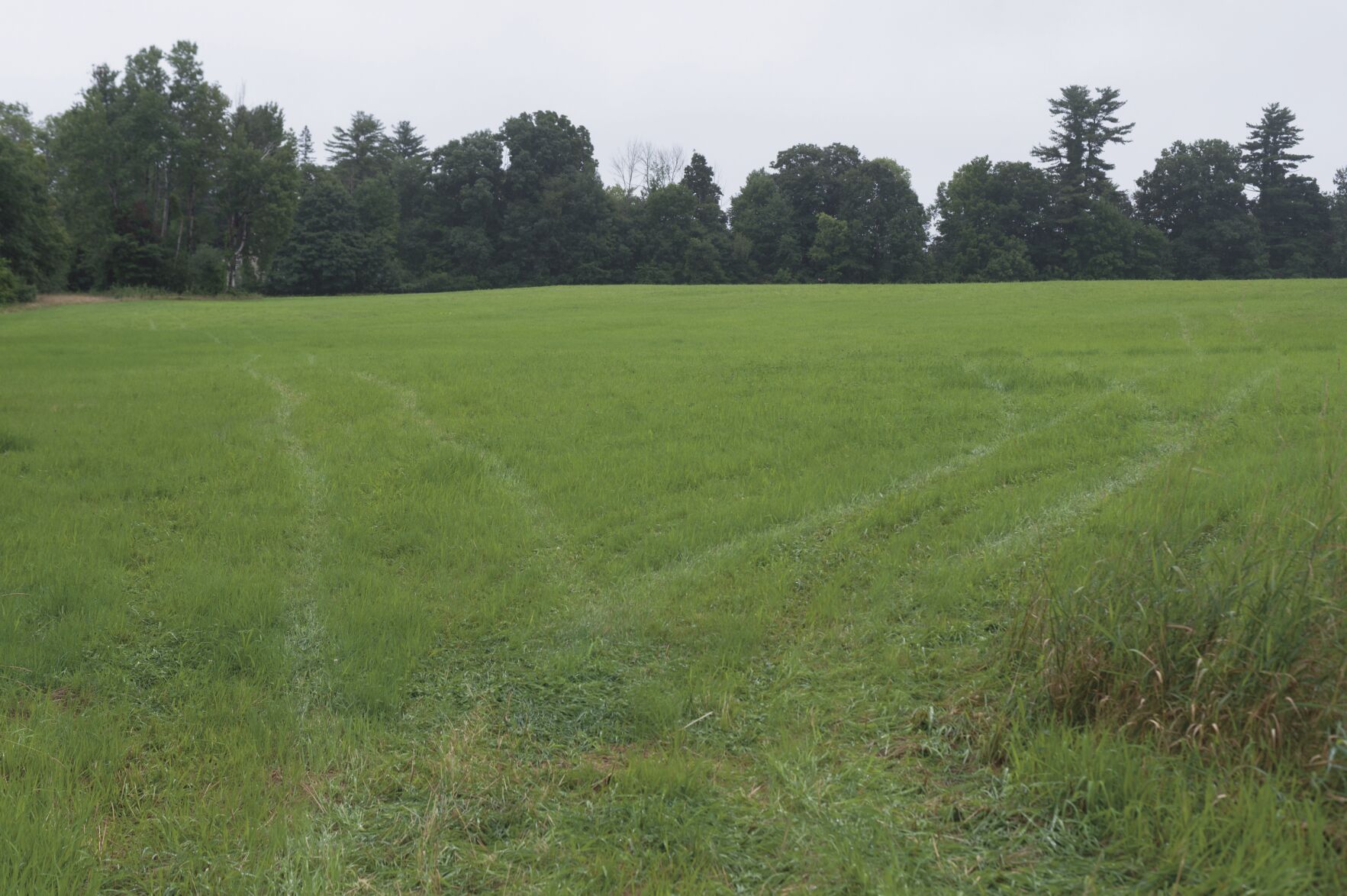 Citizen committee to tour Old North Main property which could be developed
